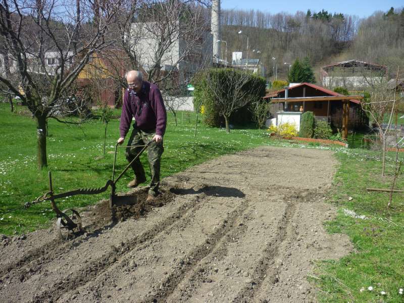 orání řádku na brambory