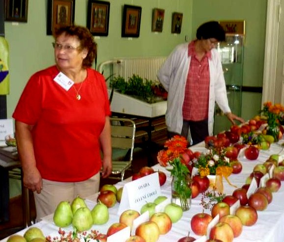 Maruška Sloupová